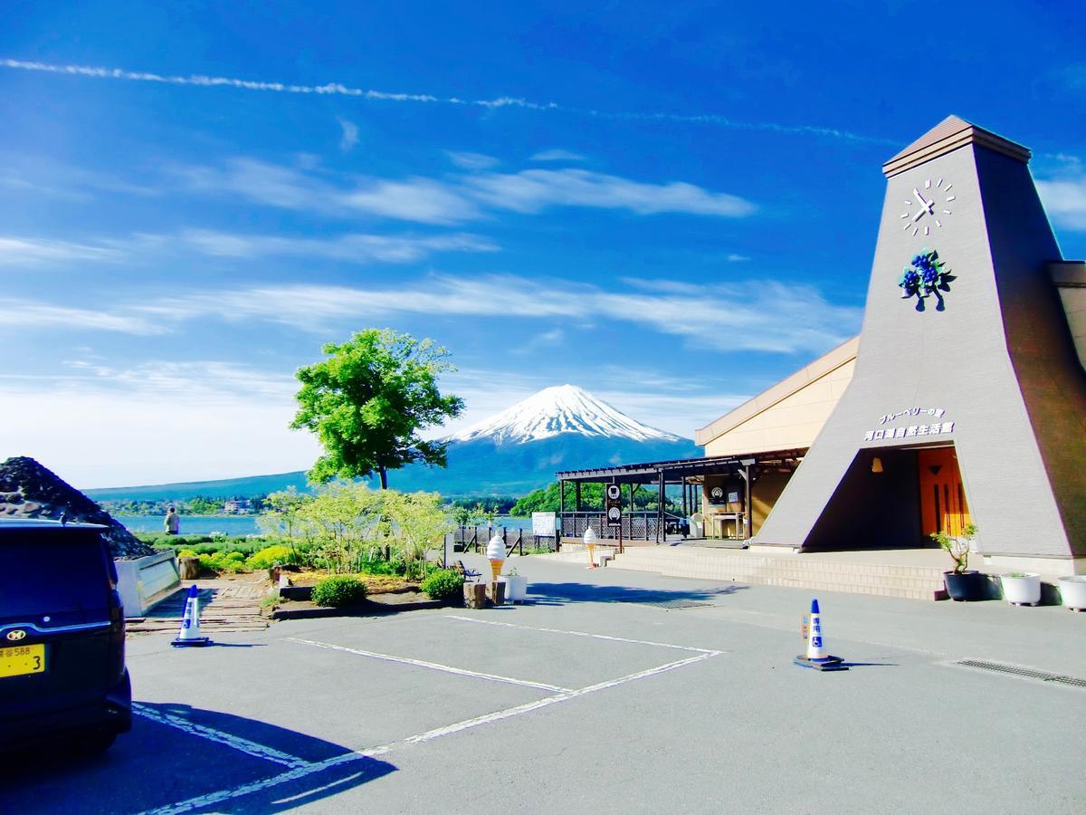 Mt Fuji Cat&Dog&Spa pension Blue Poppy Fujikawaguchiko Bagian luar foto