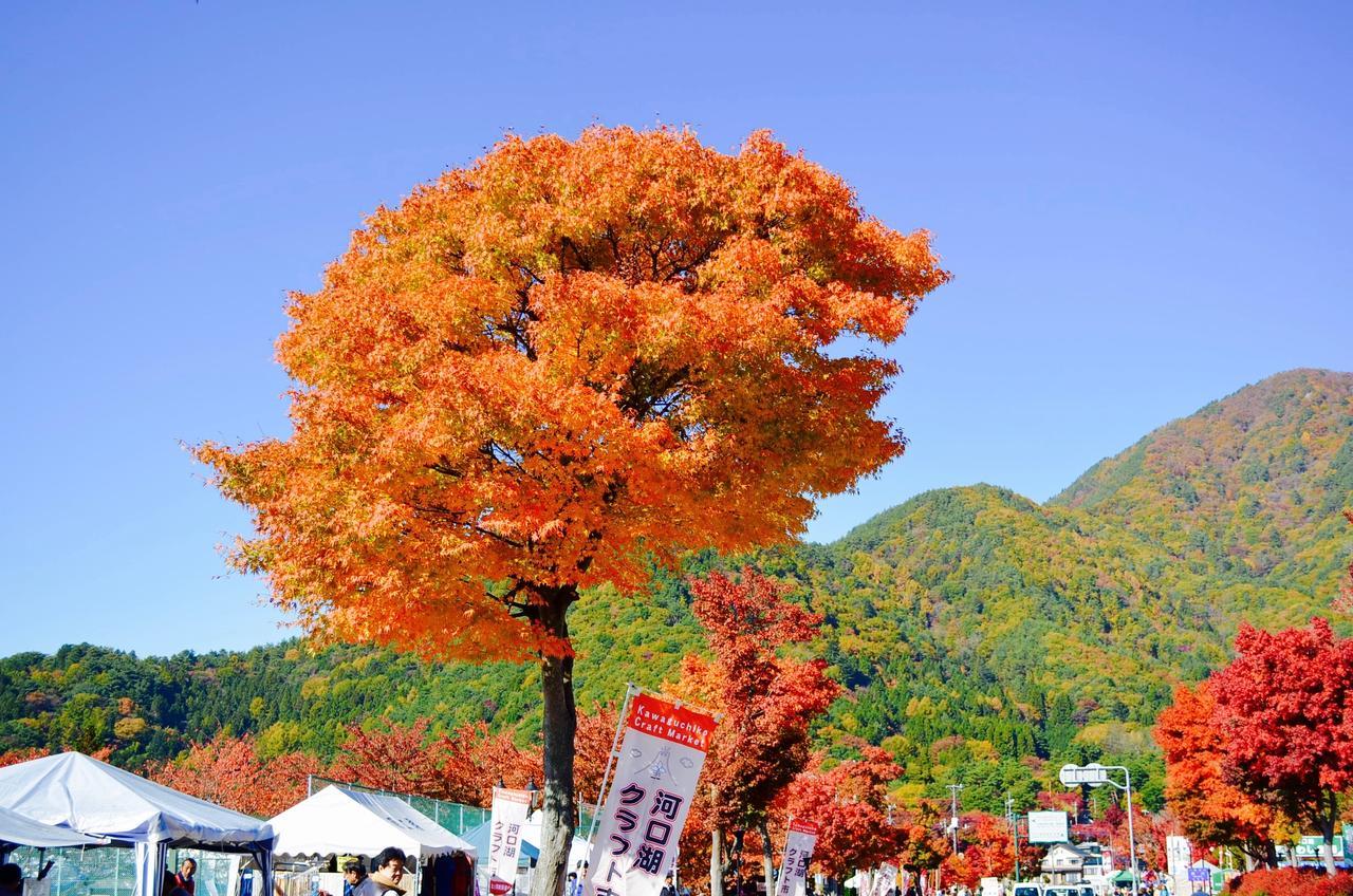 Mt Fuji Cat&Dog&Spa pension Blue Poppy Fujikawaguchiko Bagian luar foto