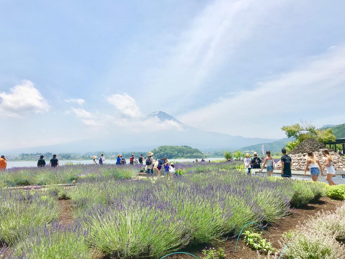 Mt Fuji Cat&Dog&Spa pension Blue Poppy Fujikawaguchiko Bagian luar foto