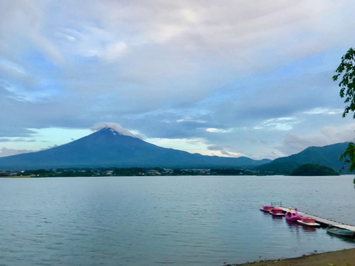 Mt Fuji Cat&Dog&Spa pension Blue Poppy Fujikawaguchiko Bagian luar foto
