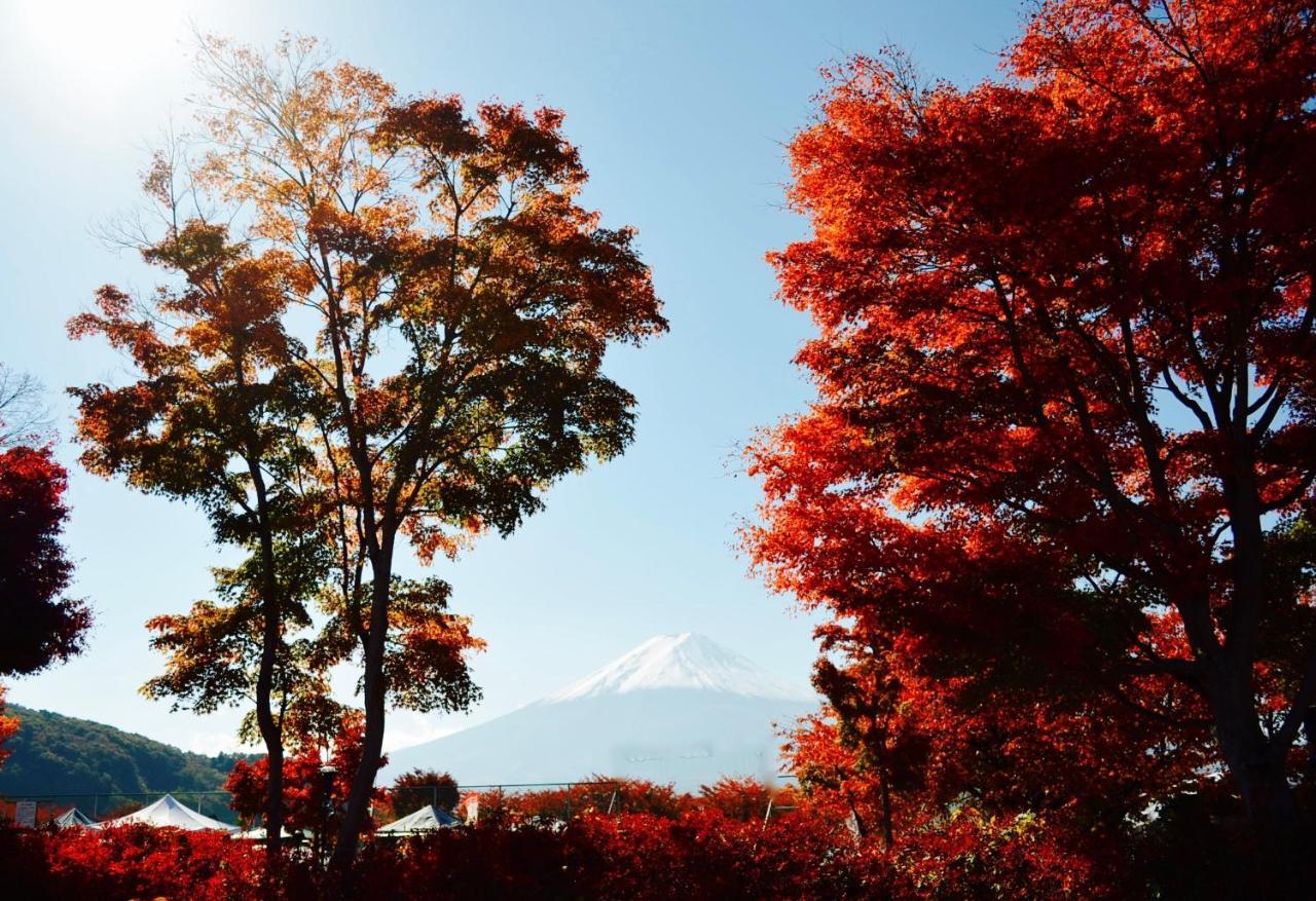 Mt Fuji Cat&Dog&Spa pension Blue Poppy Fujikawaguchiko Bagian luar foto