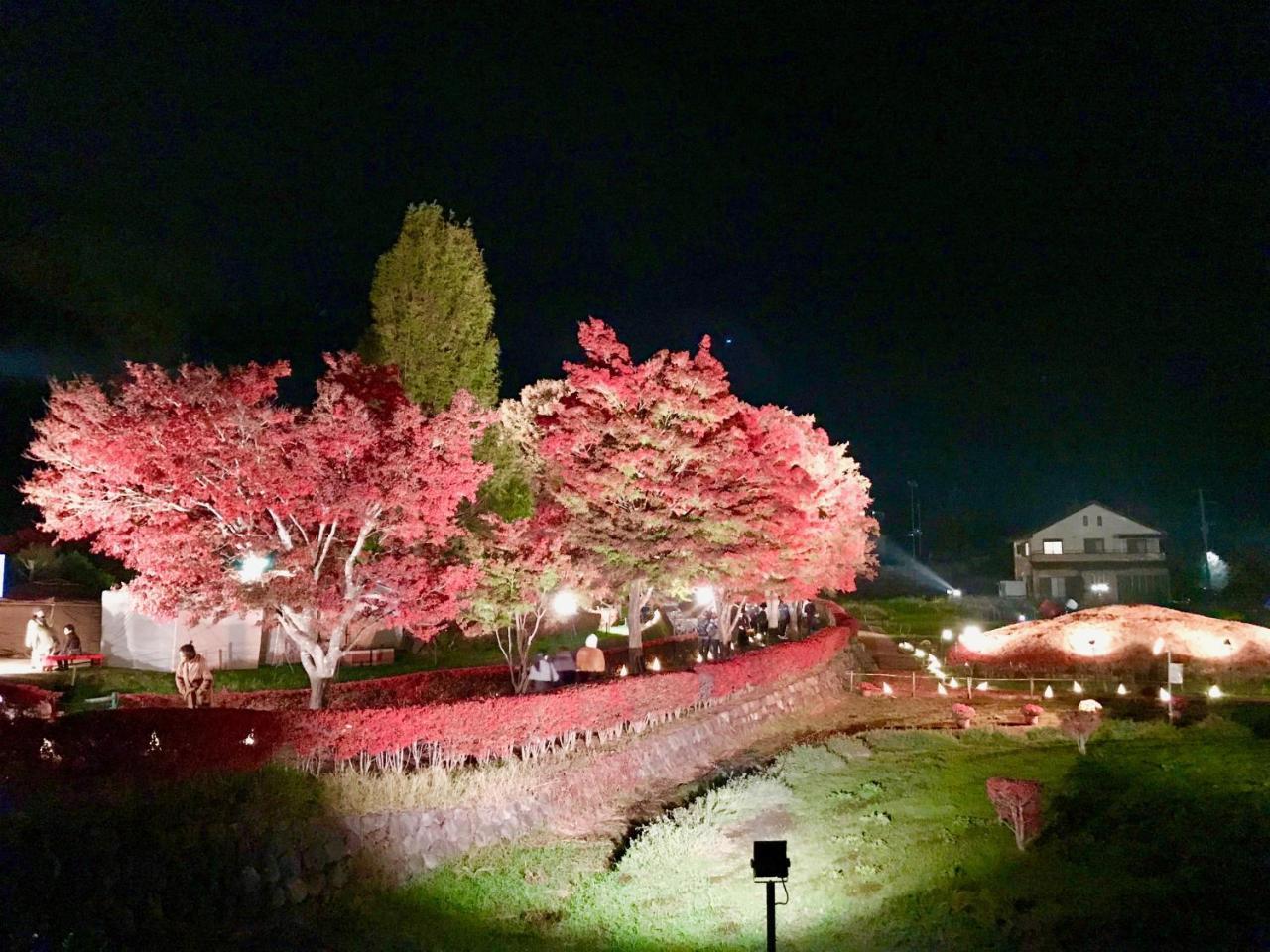 Mt Fuji Cat&Dog&Spa pension Blue Poppy Fujikawaguchiko Bagian luar foto