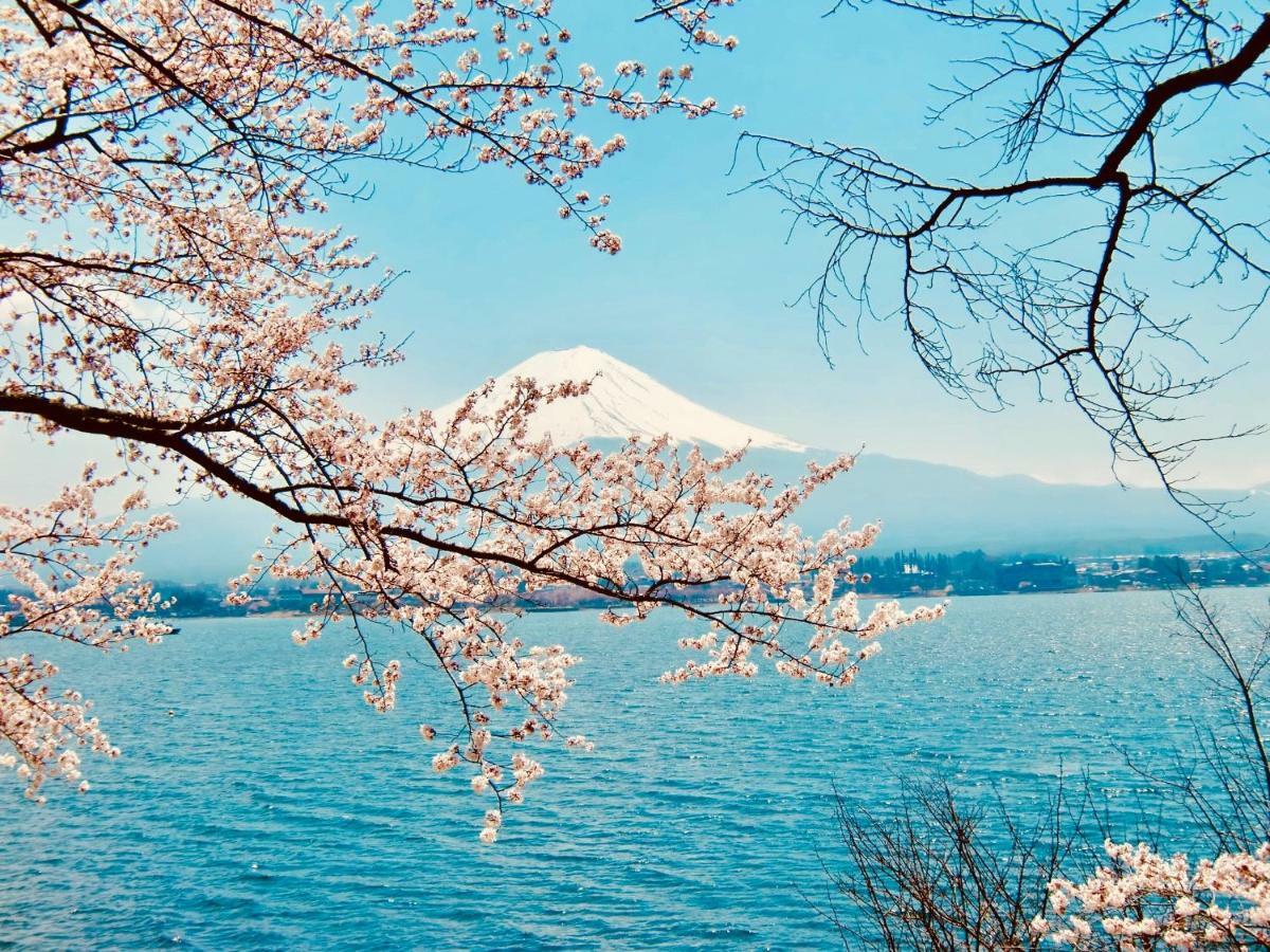 Mt Fuji Cat&Dog&Spa pension Blue Poppy Fujikawaguchiko Bagian luar foto