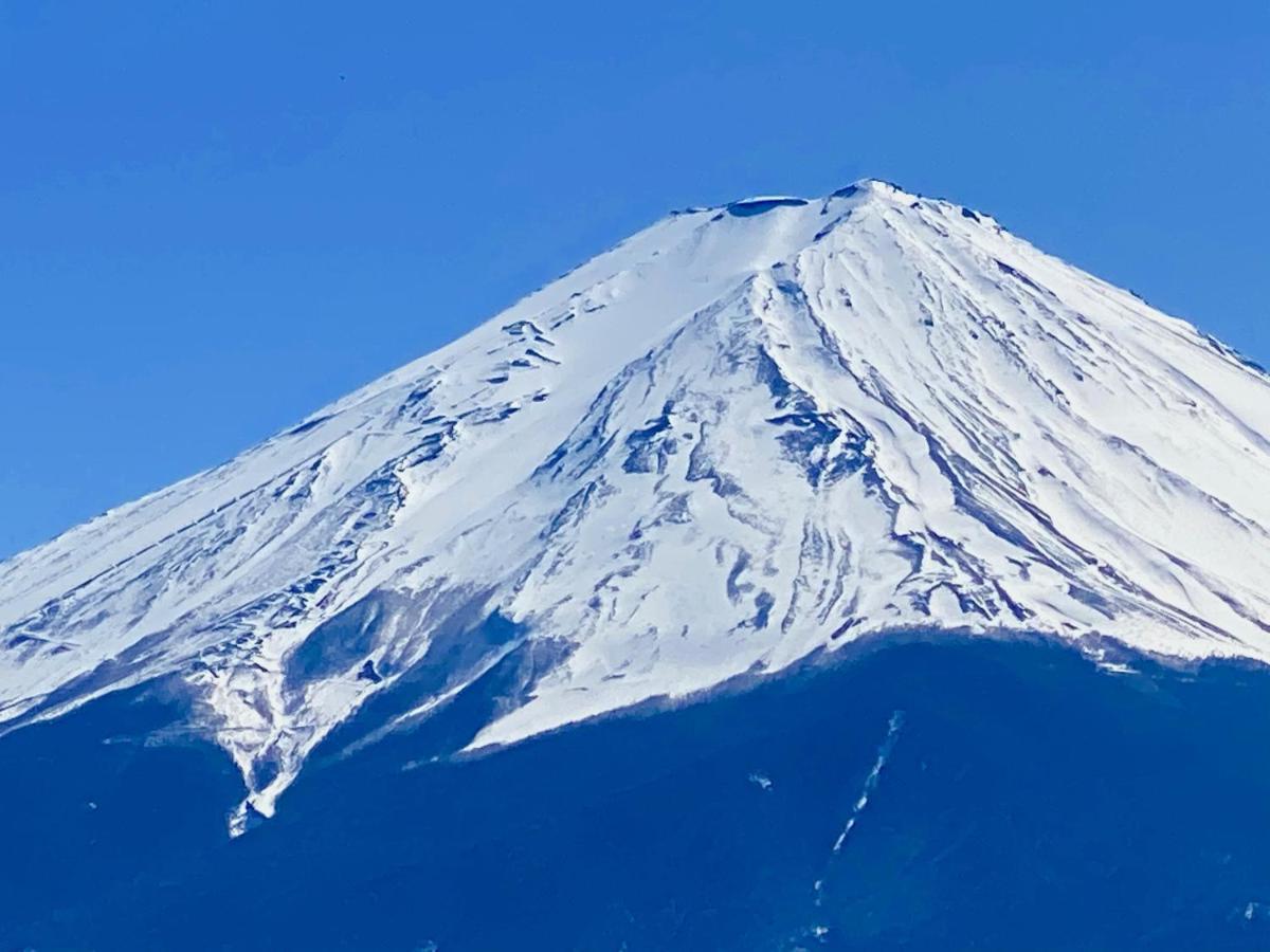 Mt Fuji Cat&Dog&Spa pension Blue Poppy Fujikawaguchiko Bagian luar foto